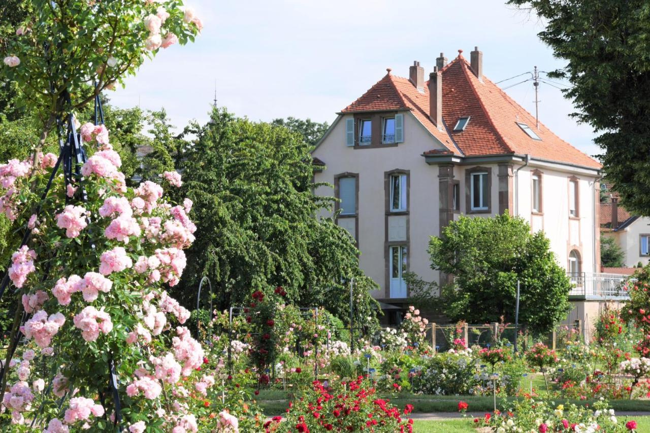 Le Jardin Des Roses Apartment Saverne Luaran gambar