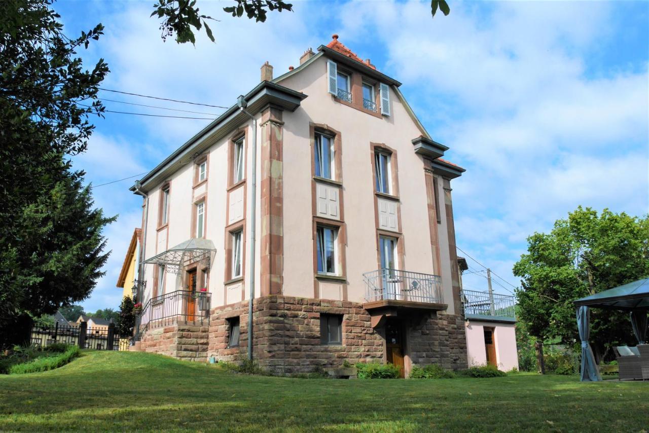 Le Jardin Des Roses Apartment Saverne Luaran gambar