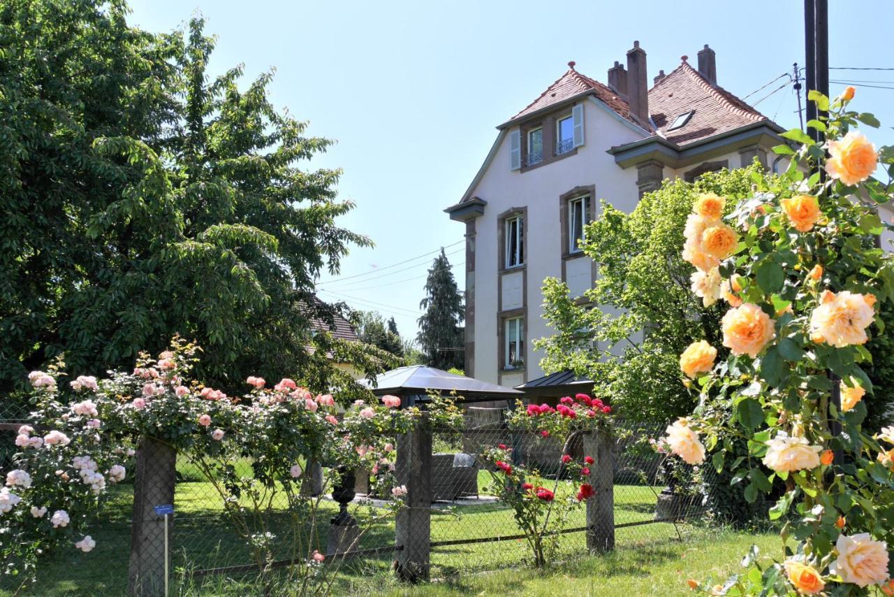 Le Jardin Des Roses Apartment Saverne Luaran gambar