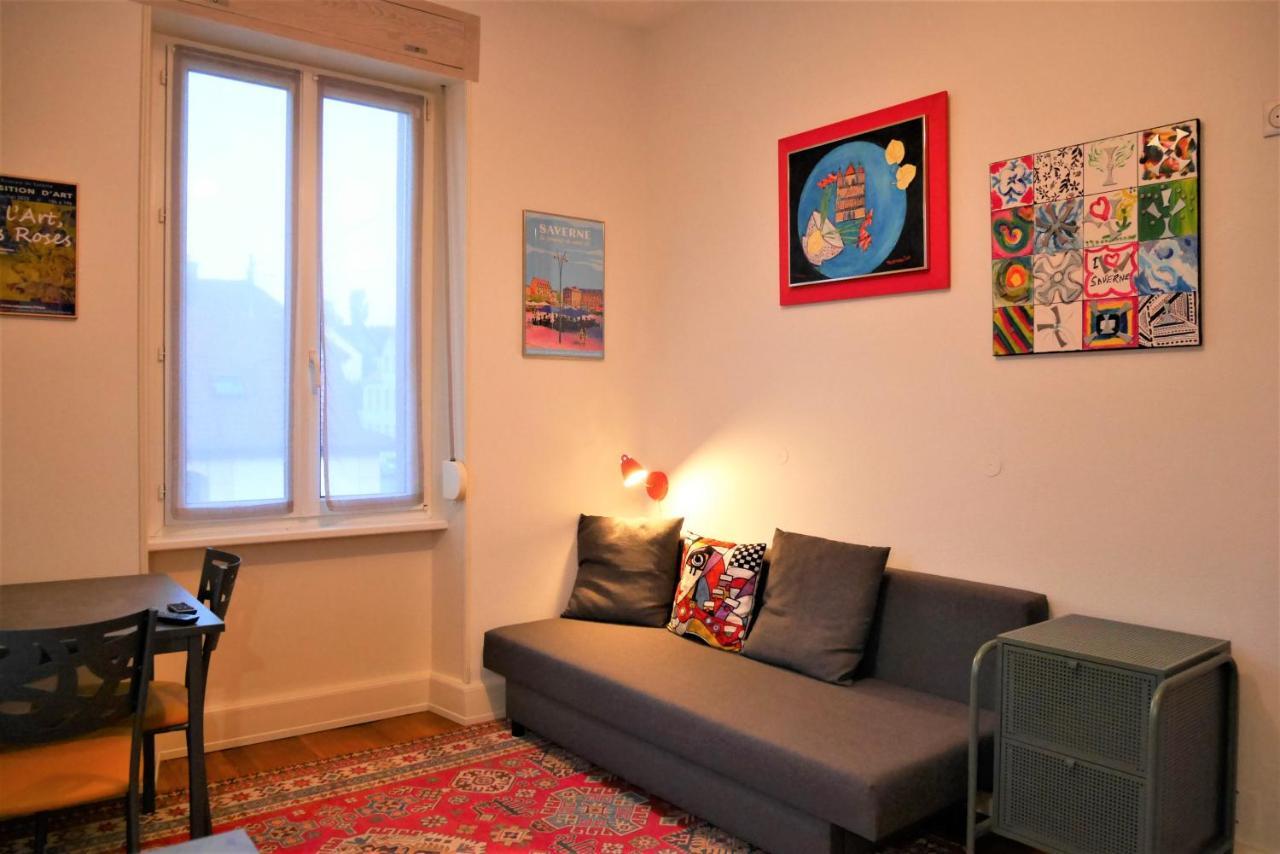 Le Jardin Des Roses Apartment Saverne Luaran gambar