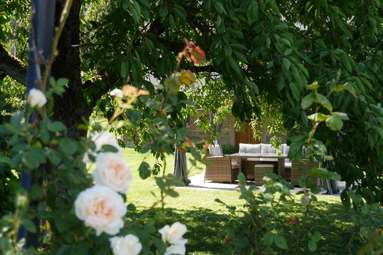 Le Jardin Des Roses Apartment Saverne Luaran gambar