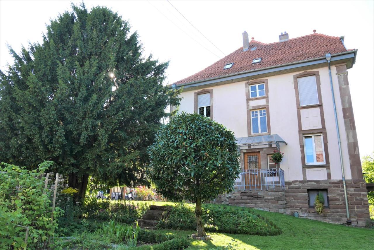 Le Jardin Des Roses Apartment Saverne Luaran gambar