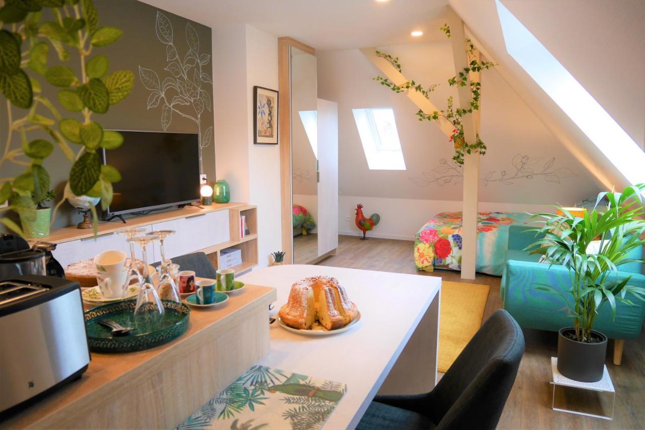Le Jardin Des Roses Apartment Saverne Luaran gambar