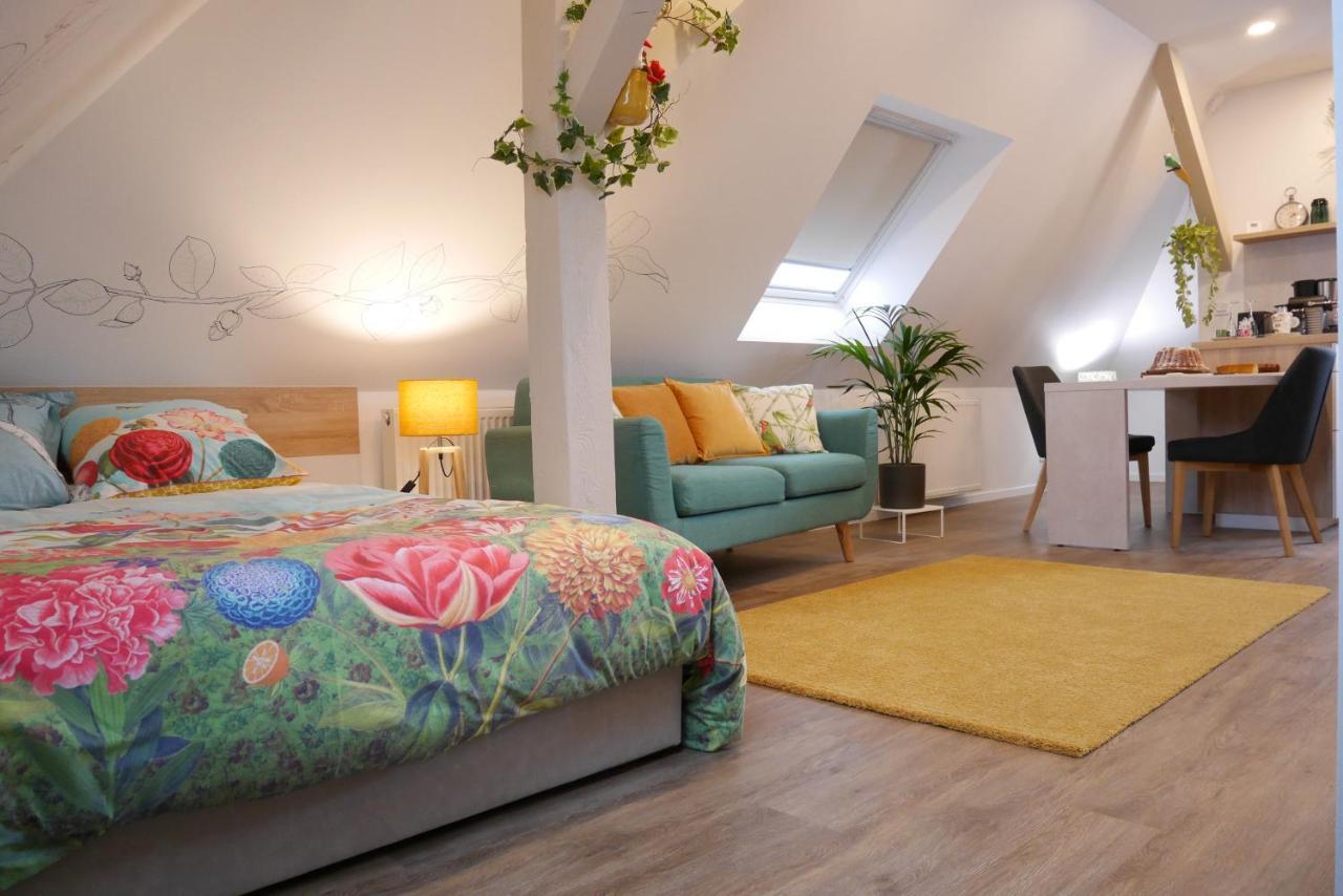 Le Jardin Des Roses Apartment Saverne Luaran gambar
