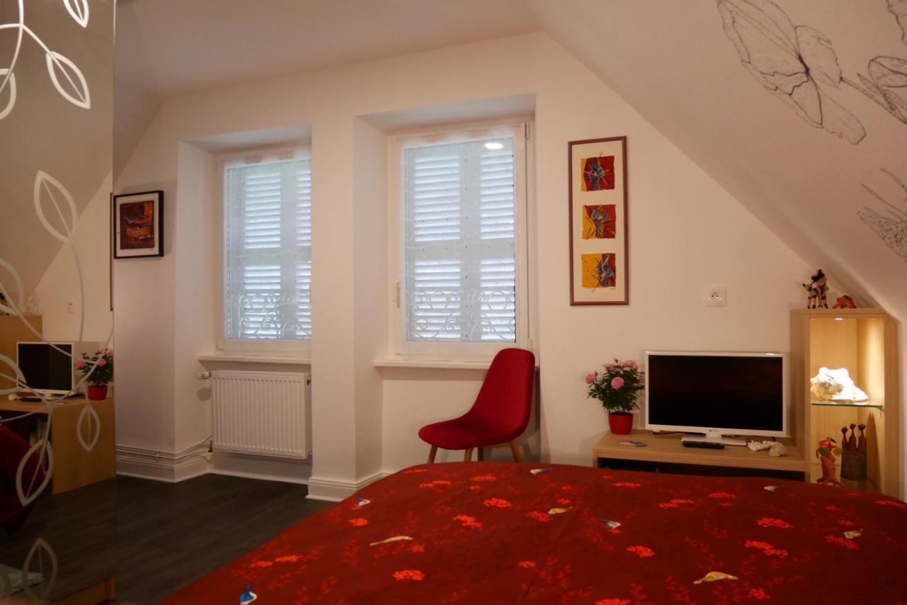 Le Jardin Des Roses Apartment Saverne Luaran gambar