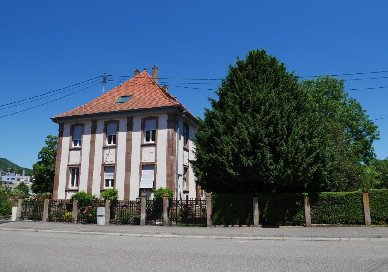 Le Jardin Des Roses Apartment Saverne Luaran gambar