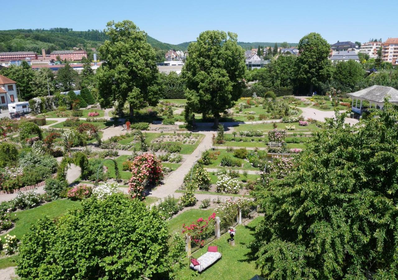 Le Jardin Des Roses Apartment Saverne Luaran gambar